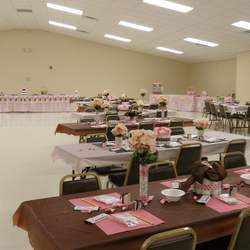 Melissa's Baby Shower - Ladybugs