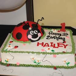 Hailey Marie's LadyBug Party - Ladybugs