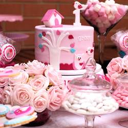 Gracie's 1st Birthday Party - Owls & Birdies