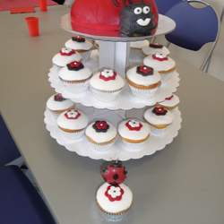 Hayley's 1st Birthday - Ladybugs
