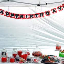Lily's First Birthday - Ladybug Polka Dot