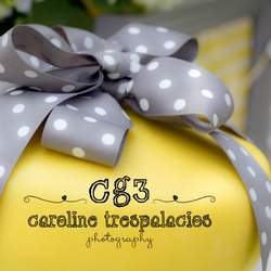 Grey & Yellow Set Design - None