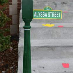 Alyssa's 2nd Birthday - Sesame Street