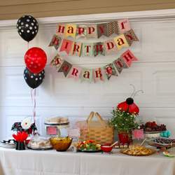 Sarbeth's First Birthday - Ladybug Picnic