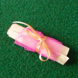 Enchanted Hollow Fairy & Elf Party - Fairies and Elves