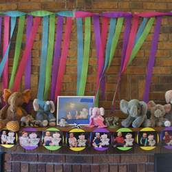 Olivia's 1st Birthday - Elephants