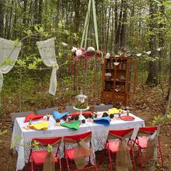 Enchanted Woodland Tea Party - Toadstools & gnomes!