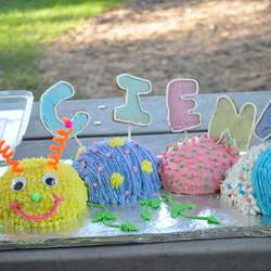 C turns one! - Garden