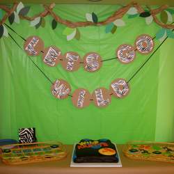 Wild Kratts 4th Birthday - Wild Kratts