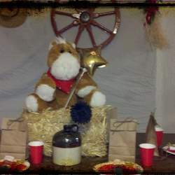 Texas Style Birthday - western theme