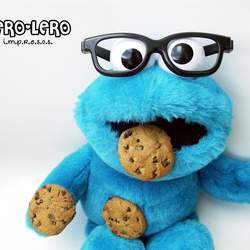 Albieri´s 1st - Cookie Monster