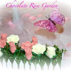 20th bithday party - girly tea party