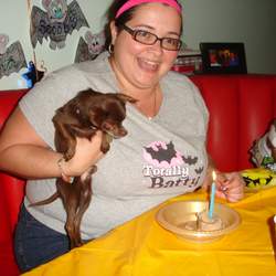Batman - My scooby's dog party!