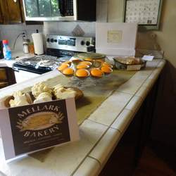 Emalee's 13th Birthday - Hunger Games