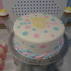 Team pink or Team Blue - Girl or Boy?????