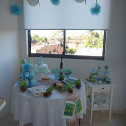 1st Birthday Party - Owl