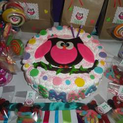 two years - Owl