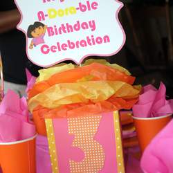 A-Dora-ble Birthday Celebration - Dora the Explorer