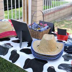 Sheriff Izaiah 7th & Gavin The Bandit 2nd Birthday  - Western/Cowboy