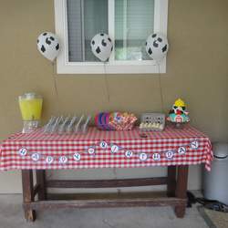 Oliver's Farm Yard Bash - Farm Theme