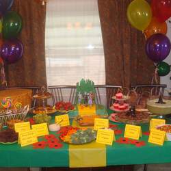 Sofia's Wizard of Oz bash - Wizard of Oz