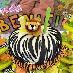 Benicio - jungle animals
