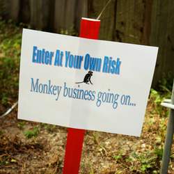 Our little monkey is turning ONE - Sock Monkey