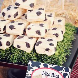 Lucas' First Birthday - Barnyard, Farm