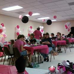 Stevie Zebra Shower - Pink/Zebra Theme