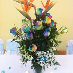 Cori's Super Sweet Sixteen - None