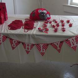 Little Ladys 2nd Birthday - Ladybug