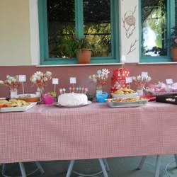 Anthi's turning 10 - polka dot or checked? why bother?