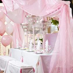 Pink Princess Tea Party - Princess Tea Party