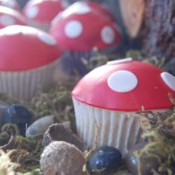 foresty fifth birthday - forest 