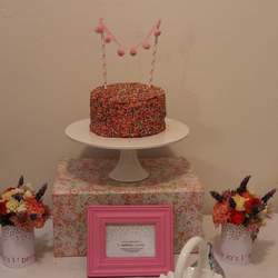 Sophia's 1st birthday - Spot