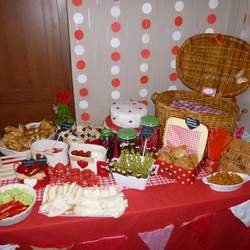 2nd Birthday Party  - Ladybird picnic