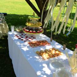 Stork Nest Designs Party - None