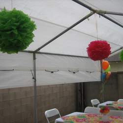 Serena Graduated - Fiesta Time