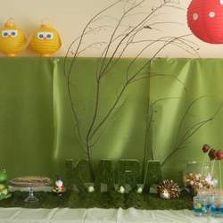 Kara's Woodland Party  - Woodland Animals 