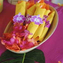 Alyssa's Luau - Hawaiian Luau