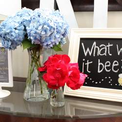 What Will it Bee? Gender Reveal Party and Shower - Bumblebee