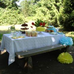My birthday Party! - Picnic