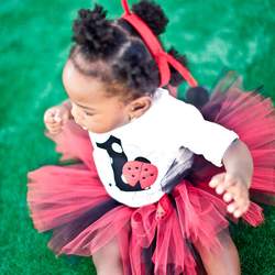 1st birthday - Ladybug 1st birthday