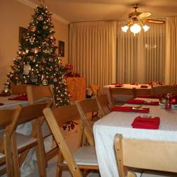 60th Birthday Party - Red & Gold Holiday Theme