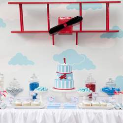Vintage Aeroplane Party - Vintage Aeroplane Party
