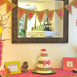 Katelyn's Owl Baby Shower - Pink and Green Owl Baby Shower