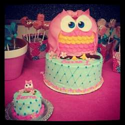 owls birthday 1st party - Owls