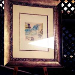 Look Who's Adding to Their Nest ... - Birds/Nest