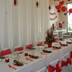 Caitlin's Birthday Christmas Party - Red and Green Christmas Party