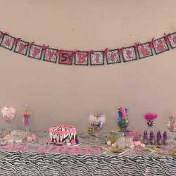 Lauren's 5th Diva Birthday Party - Hot Pink Diva Zebra